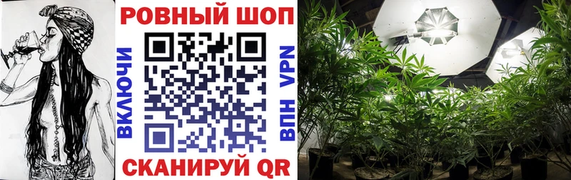 Купить закладку Героин APVP Конопля МЕФ Cocaine Жуковка
