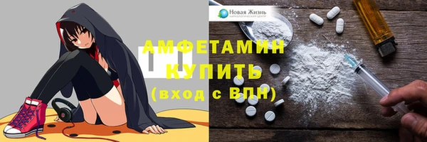 тгк Лагань