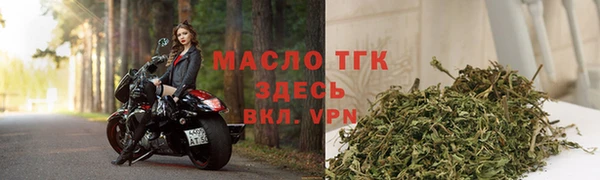 тгк Лагань