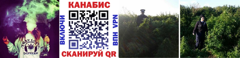 Купить закладки  Жуковка  Марихуана Amnesia 