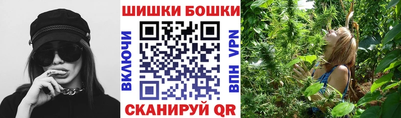 Бошки Шишки планчик Жуковка
